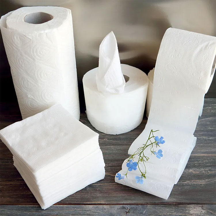 How Does Toilet Paper Impact Daily Hygiene and Comfort?